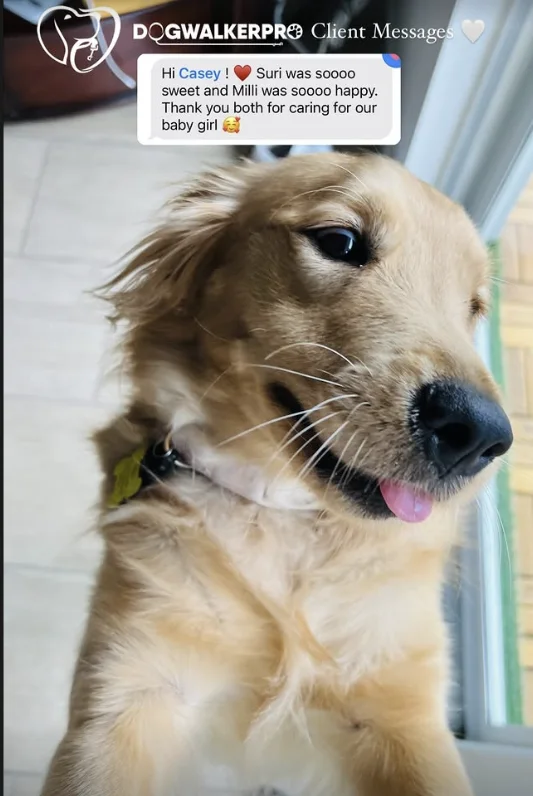 Suri & Milli: a message from their family to Dog Walker Pro