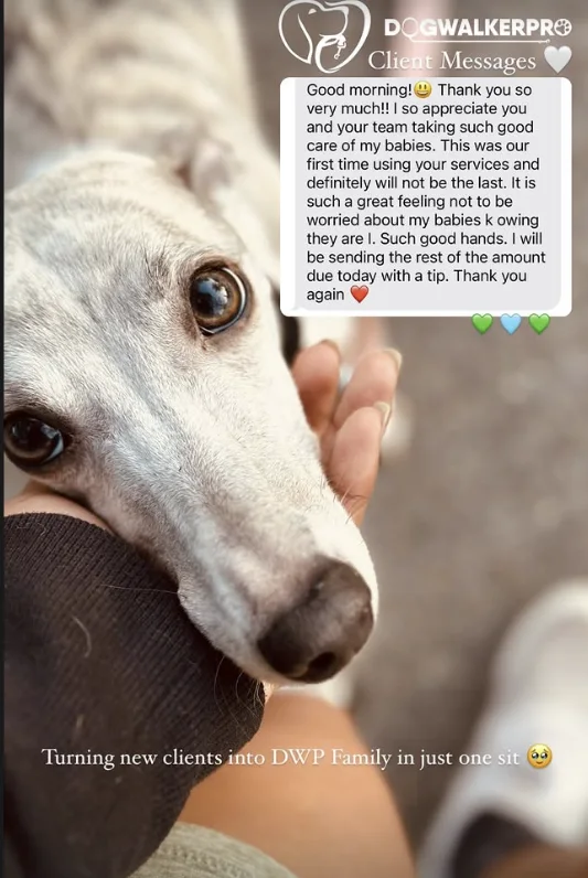 DWP Pack: a message from their family to Dog Walker Pro
